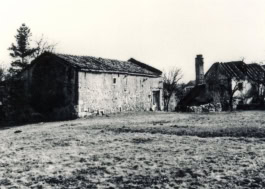 renovation project museum Slovenia